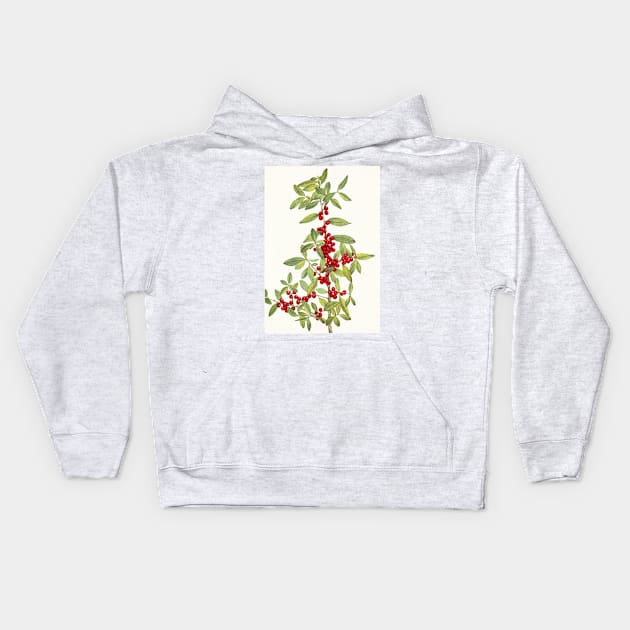 Yaupon holly - Botanical Illustration Kids Hoodie by chimakingthings